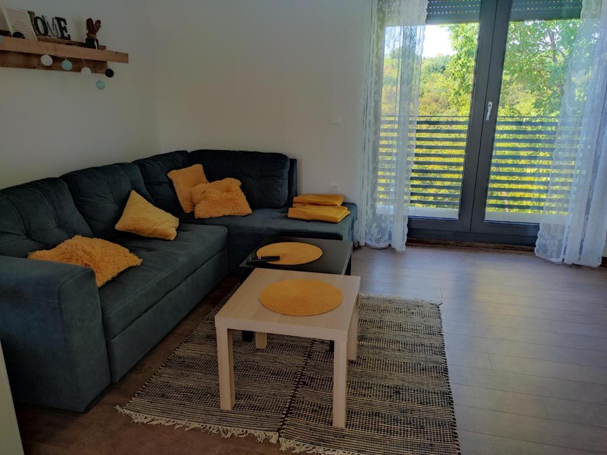 Kraljeva Hiza - Apartmani I Sobe Kralj Sveti Martin Na Muri Εξωτερικό φωτογραφία