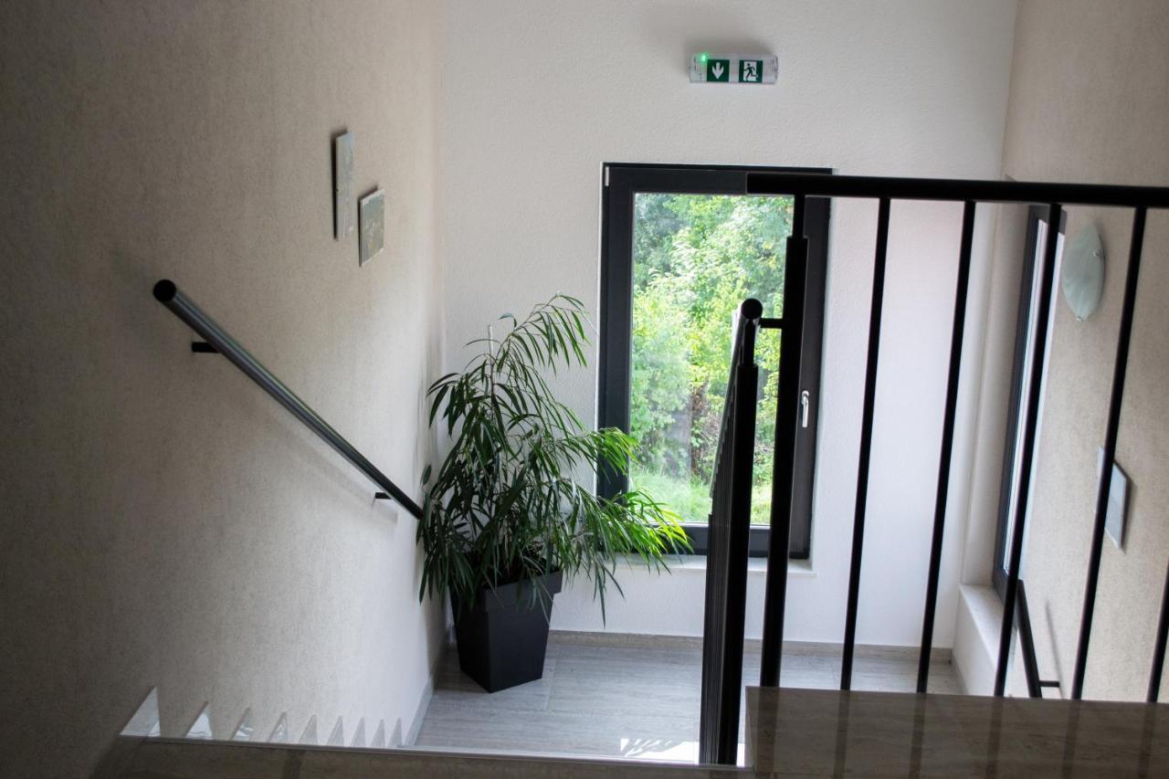 Kraljeva Hiza - Apartmani I Sobe Kralj Sveti Martin Na Muri Εξωτερικό φωτογραφία